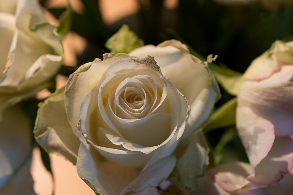 THD5607.jpg