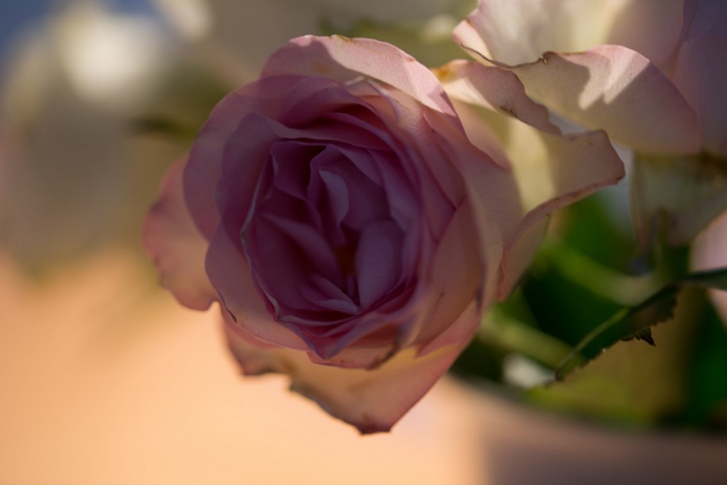 THD5611.jpg